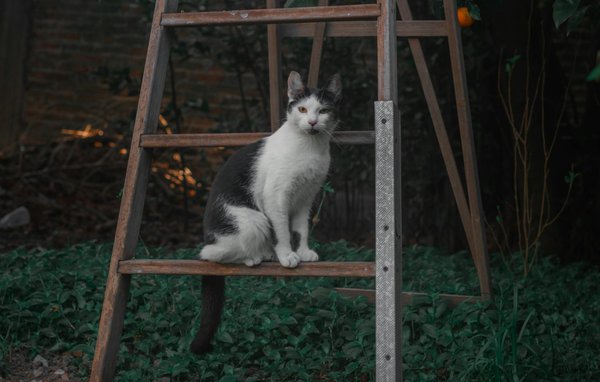 Why Are Slimming Trends Gaining Popularity in the UK?