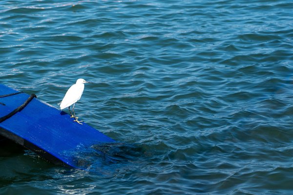 Unlocking senior health: cutting-edge solutions to enhance well-being in the uk